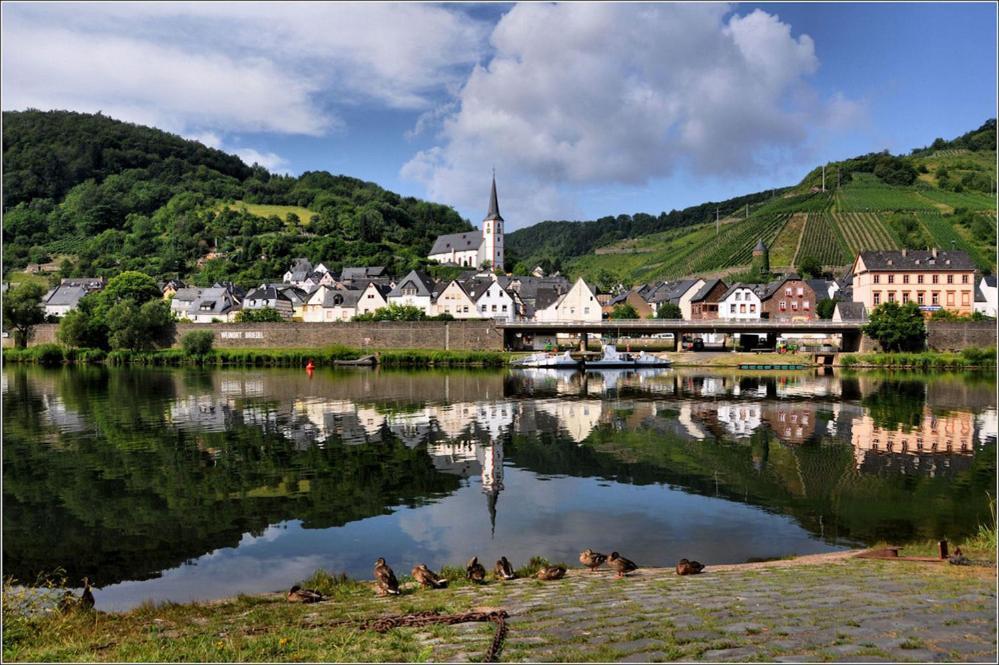 Weingut-Gaestehaus Karl Otto Nalbach Hotel Briedel Buitenkant foto