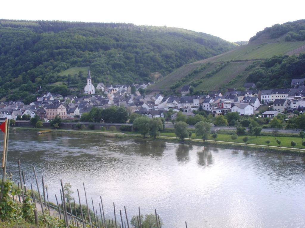 Weingut-Gaestehaus Karl Otto Nalbach Hotel Briedel Buitenkant foto