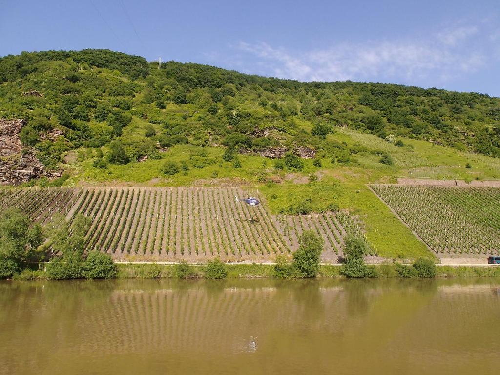 Weingut-Gaestehaus Karl Otto Nalbach Hotel Briedel Buitenkant foto